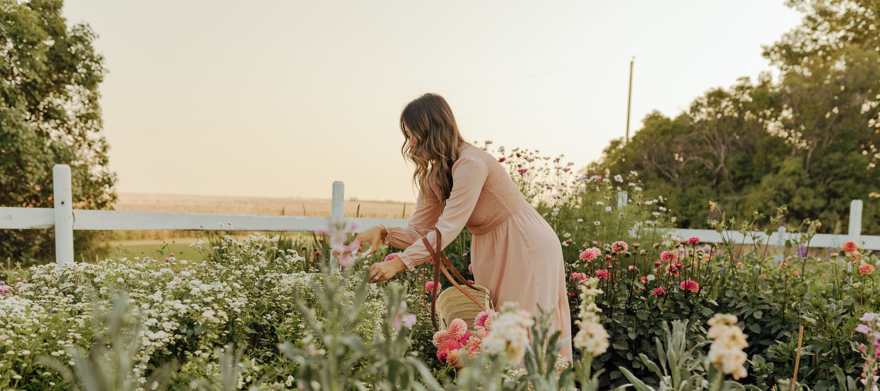 Alberta Flower Farm 805 Farms Tara Bauer